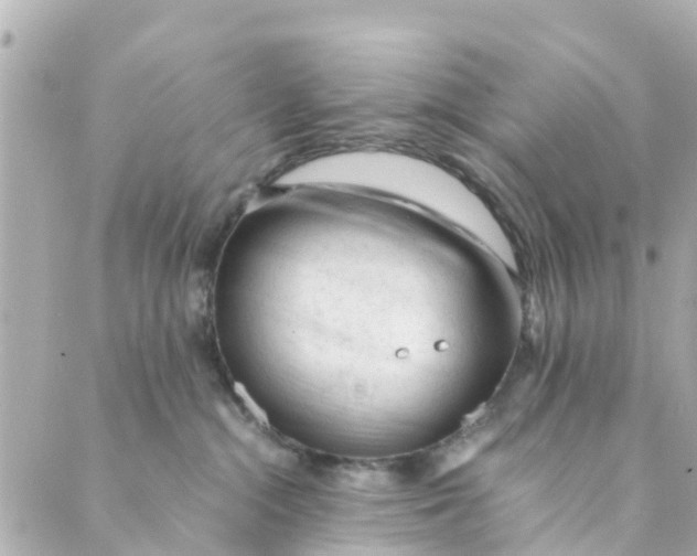 X0000088910284200706291537