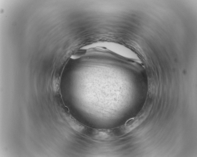 X0000088910285200706291537