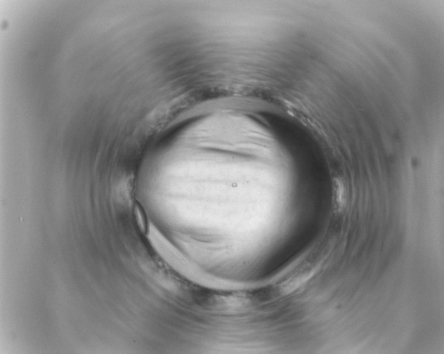 X0000088910286200706291537