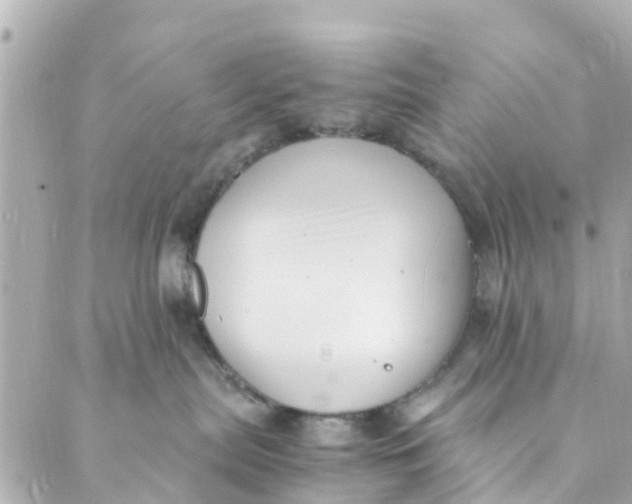 X0000088910287200706291537