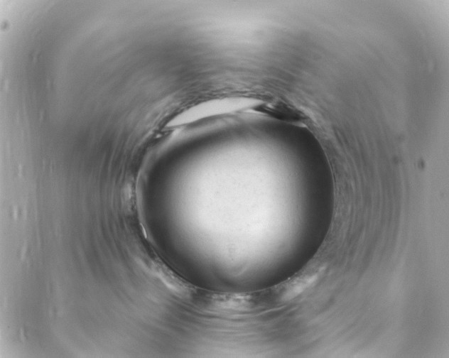 X0000088910288200706291537