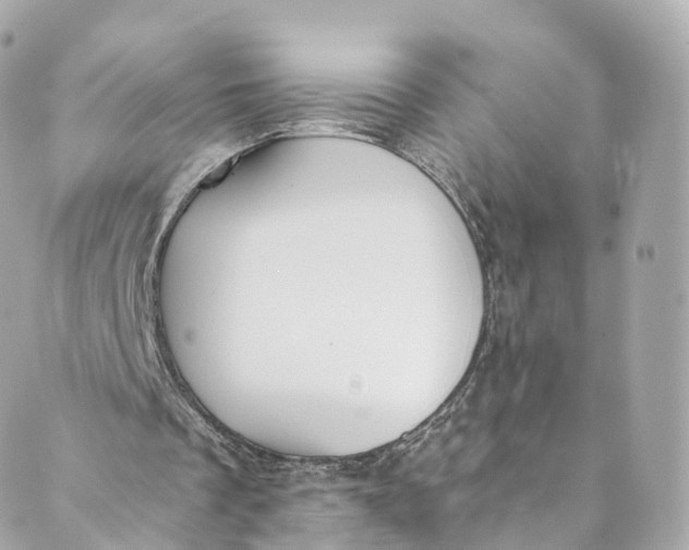 X0000088910289200706291536