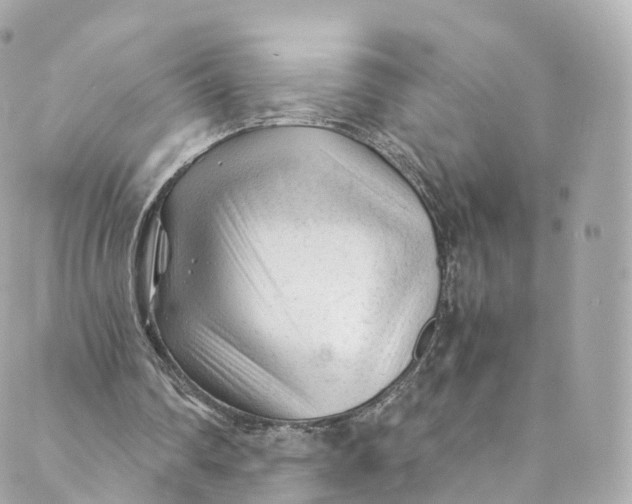 X0000088910290200706291536