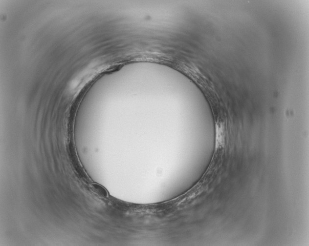 X0000088910291200706291536