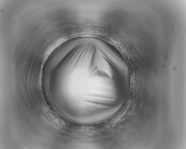 X0000088910292200706291536