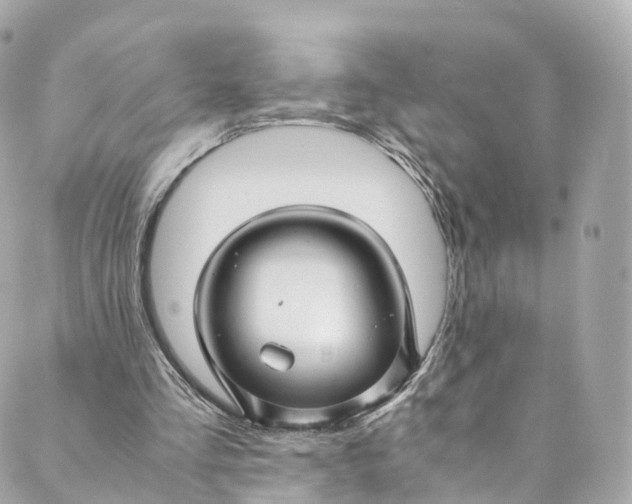 X0000088910293200706291536