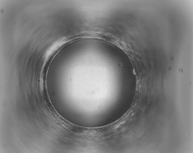 X0000088910294200706291536