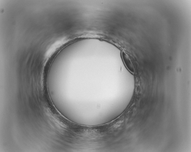 X0000088910296200706291536