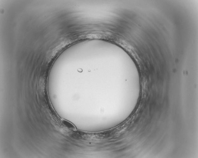 X0000088910297200706291536