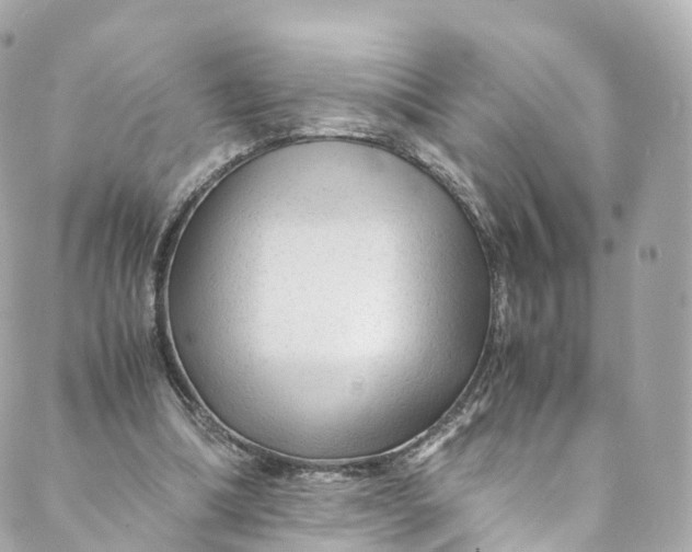 X0000088910298200706291536