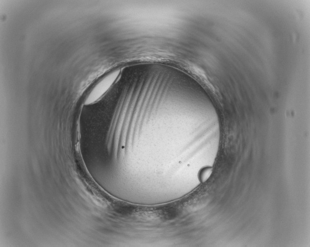 X0000088910299200706291536