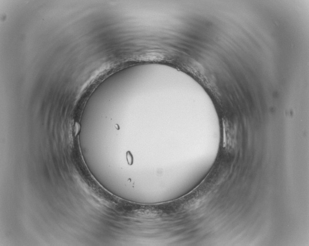 X0000088910300200706291536