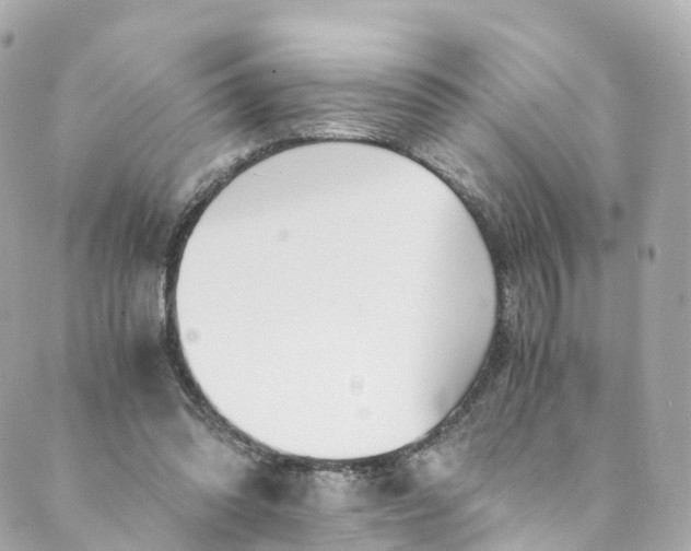 X0000088910302200706291536