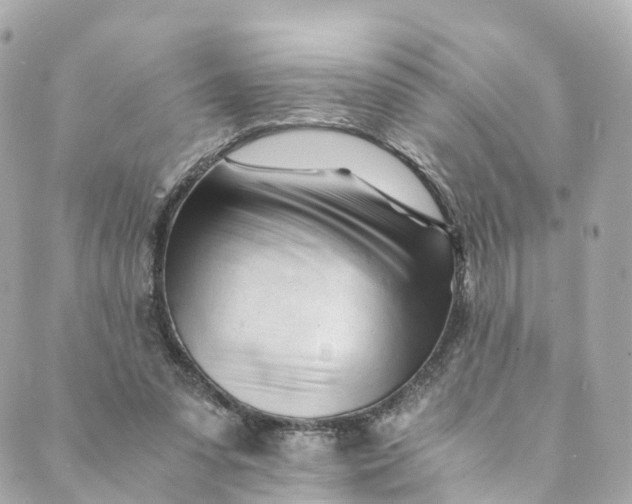 X0000088910303200706291536