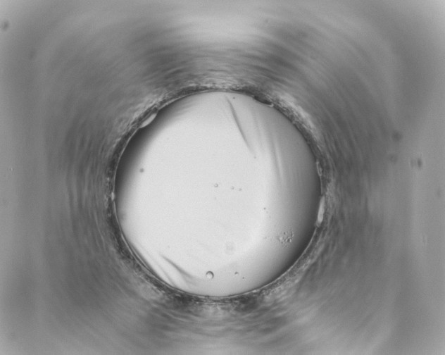 X0000088910305200706291536