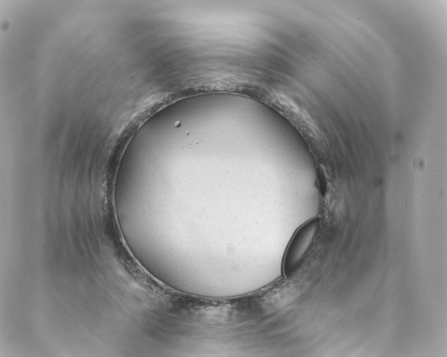 X0000088910306200706291536