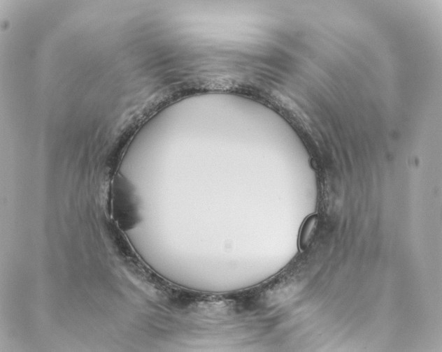 X0000088910307200706291536