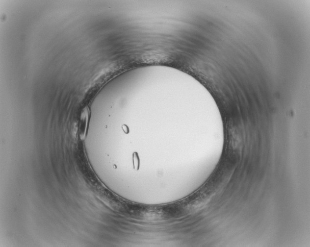 X0000088910308200706291536