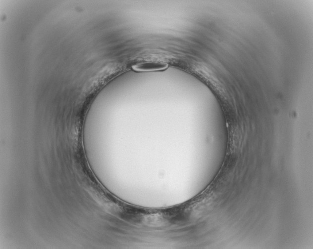 X0000088910309200706291536