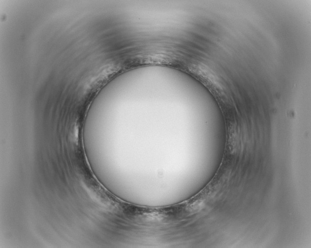 X0000088910310200706291536