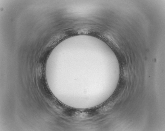 X0000088910311200706291536