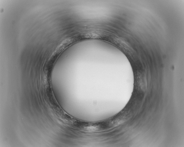 X0000088910312200706291536