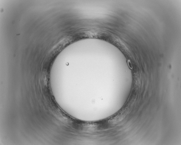 X0000088910313200706291536