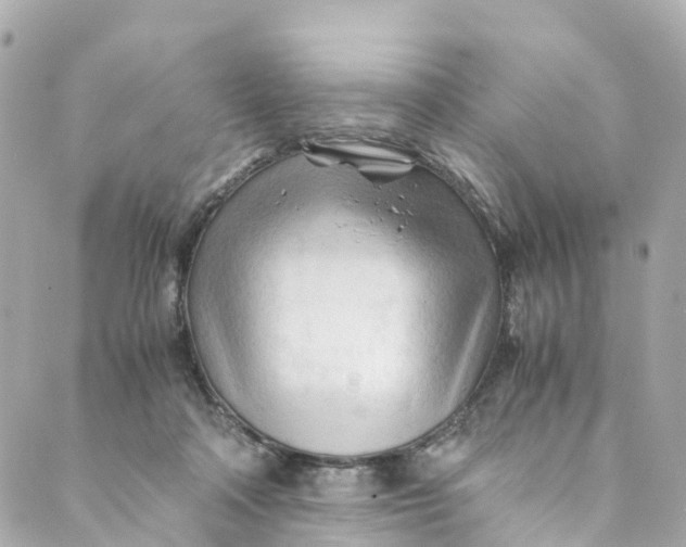 X0000088910314200706291536