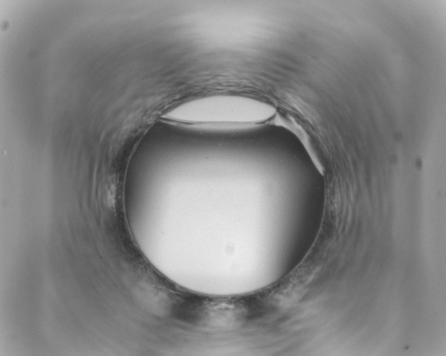 X0000088910315200706291536