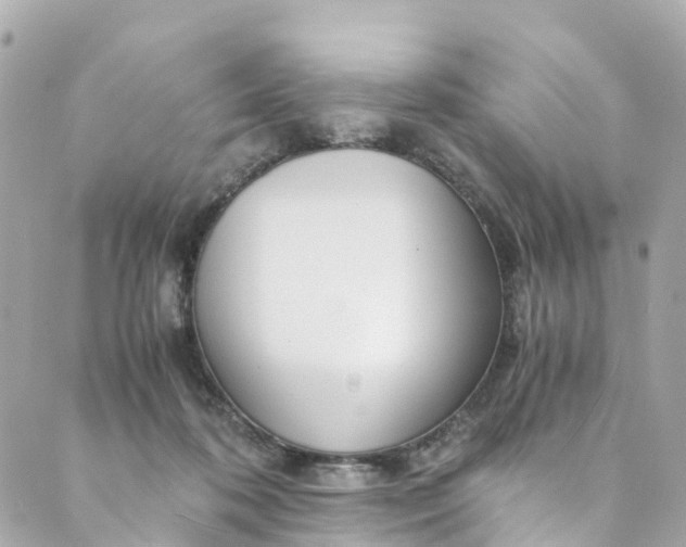 X0000088910316200706291536