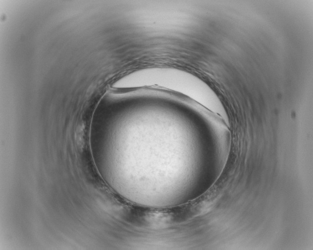 X0000088910319200706291536