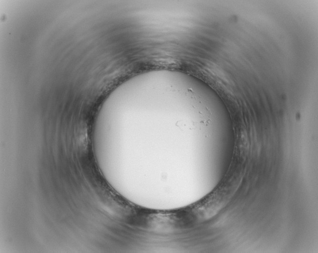 X0000088910320200706291536