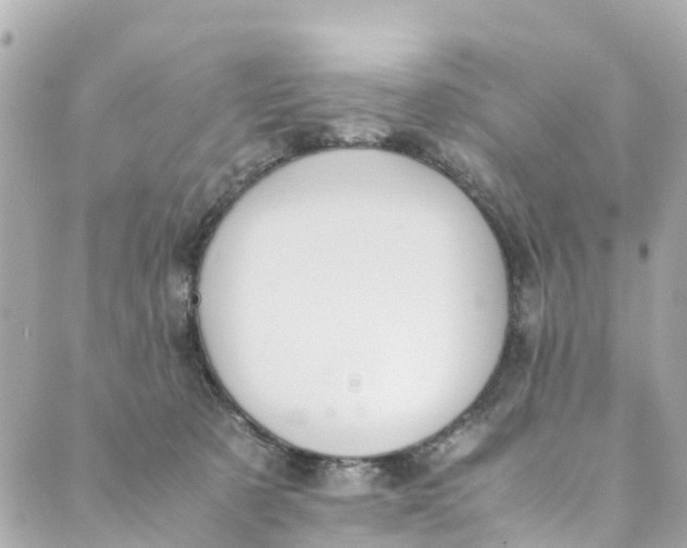 X0000088910321200706291536