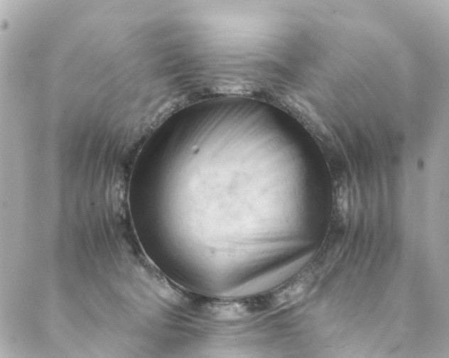 X0000088910322200706291536