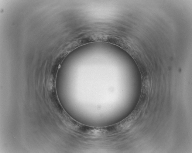 X0000088910323200706291536