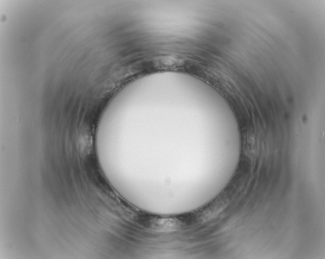 X0000088910324200706291536