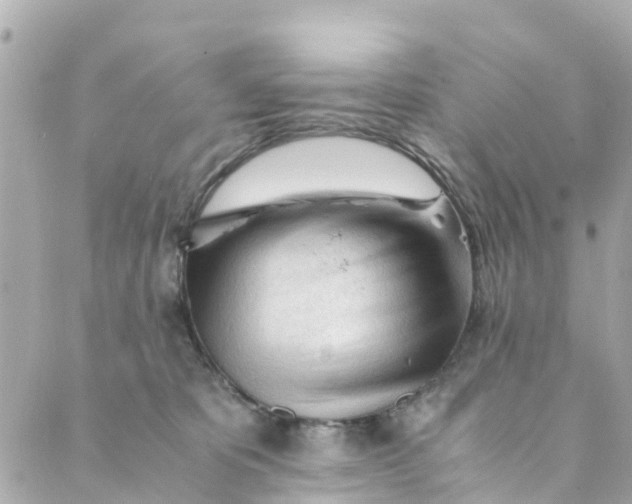 X0000088910325200706291536