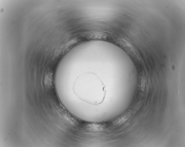 X0000088910326200706291536