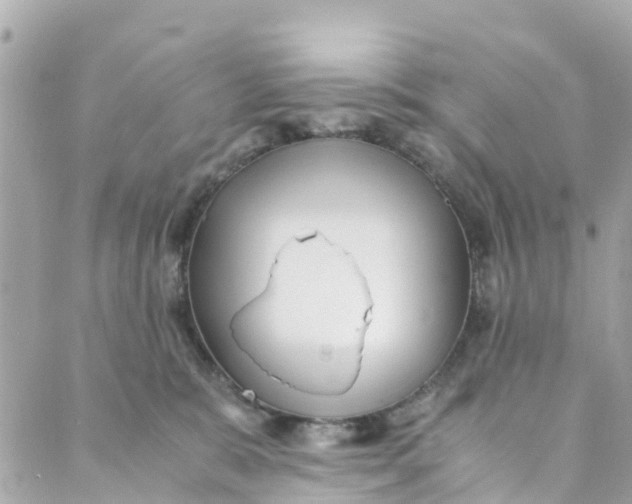 X0000088910327200706291536