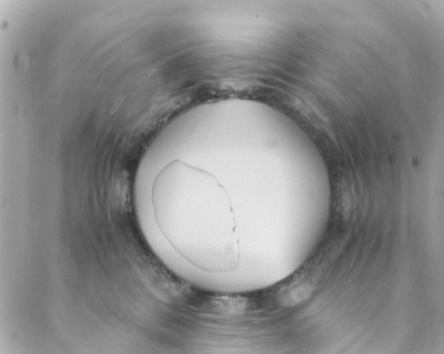 X0000088910328200706291536