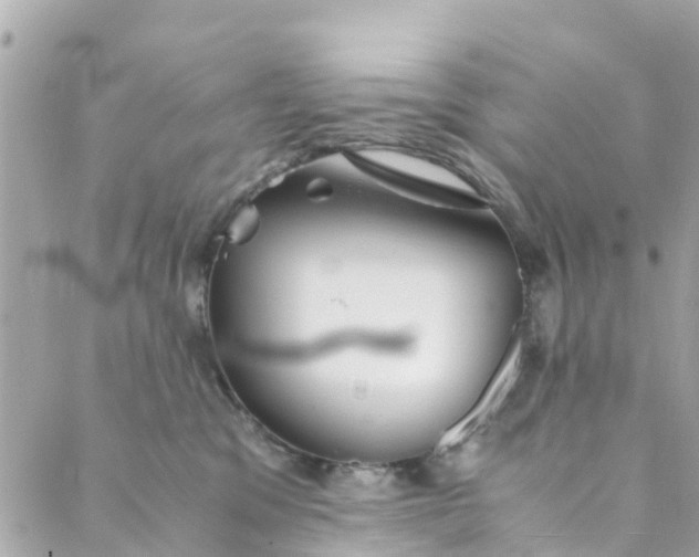 X0000088910329200706291536