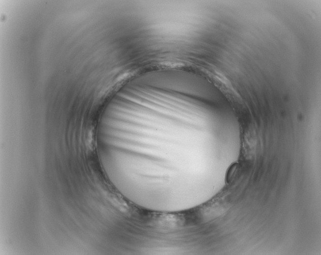 X0000088910330200706291536