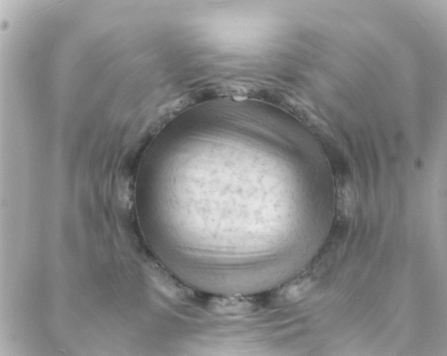 X0000088910331200706291536