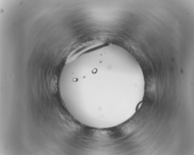 X0000088910332200706291536