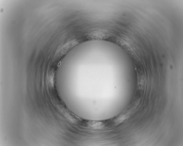 X0000088910334200706291536