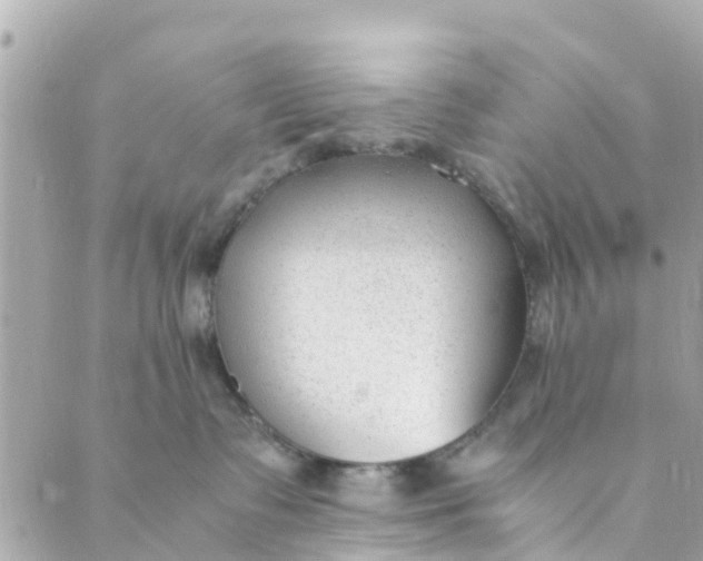 X0000088910335200706291536