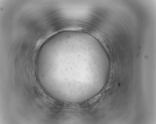 X0000088910337200706291535