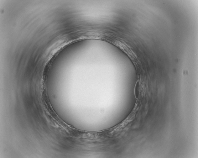 X0000088910338200706291535