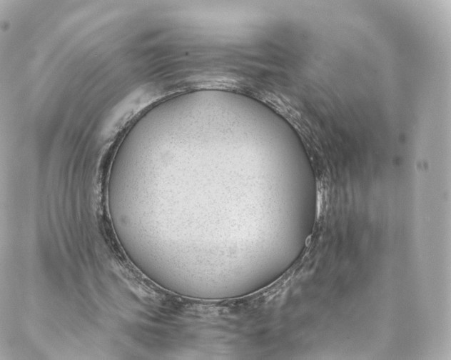 X0000088910339200706291535