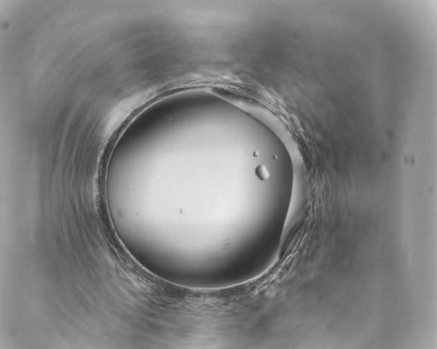 X0000088910340200706291535